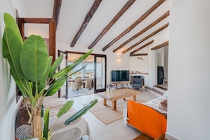 TV, fireplace