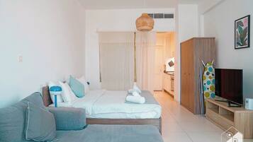 Apartment (0 Bedroom) | Living area | Plasma TV