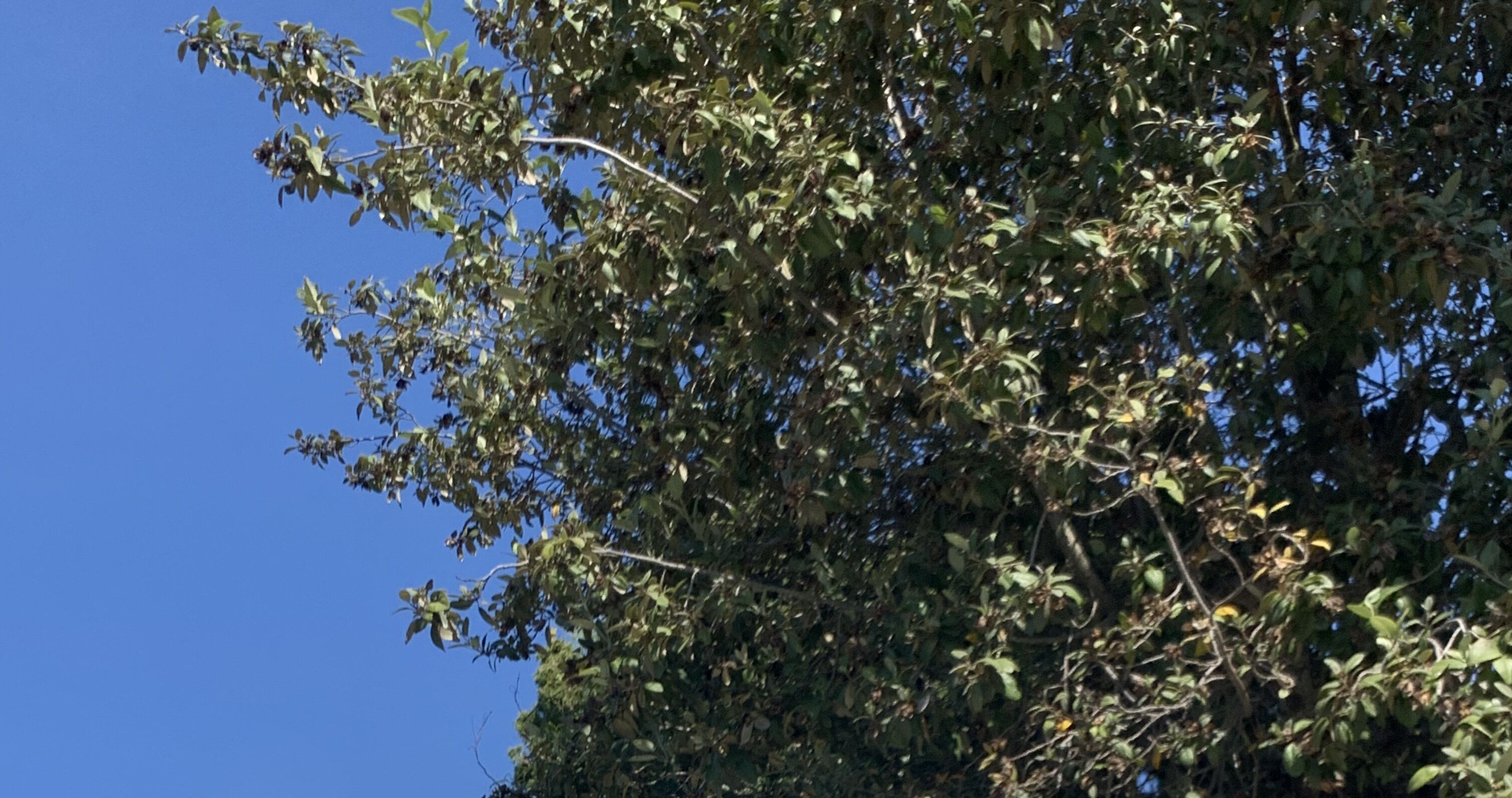 Foto - Impact Beach House