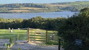 A rural landscape with a lake, rolling hills, and a fenced area with grazing animals. - Ash (Saltash)