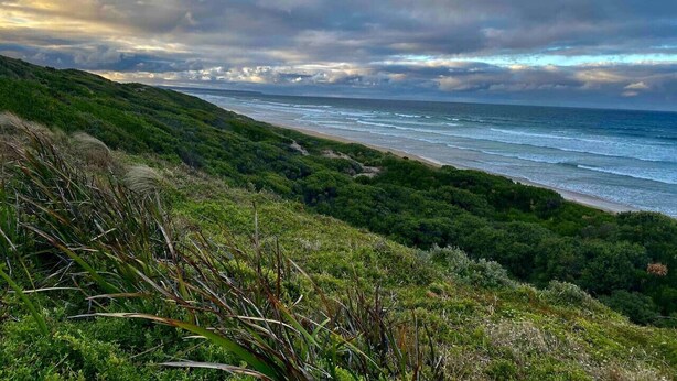 A coastal landscape with a grassy hill and ocean view.