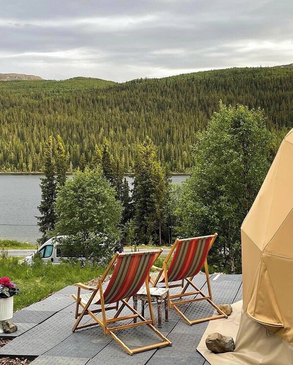 Basic Tent | Terrace/patio