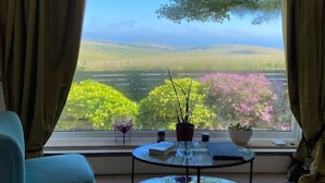 A room with a large window offering a view of a green landscape and flowering bushes.