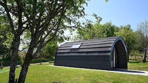 A modern, arched building with a flat roof, surrounded by a grassy area and trees.