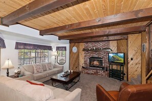 Télévision, cheminée, espaces bureaux