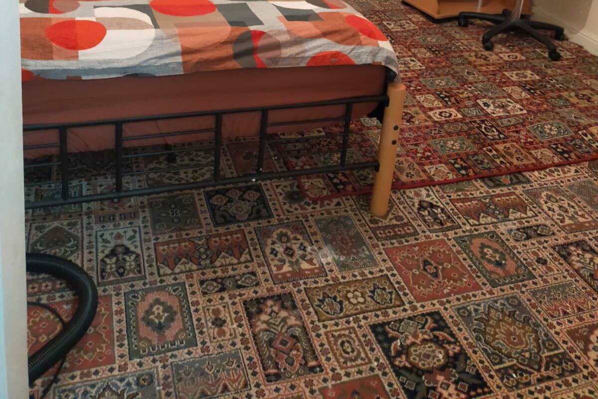 A bedroom with a bed, a desk, a chair, a patterned rug, and a window with blinds.