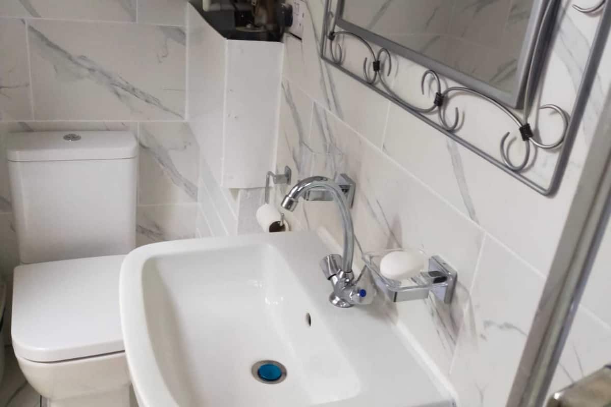 standard studio, 1 double bed (double) | bathroom | shower, free toiletries, towels, toilet paper