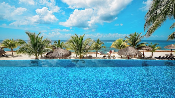 Una piscina azul cristalina con vista al océano y palmeras.