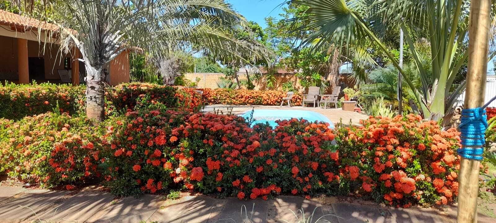 Une piscine entourée de fleurs rouge vif, avec une terrasse en bois et des chaises longues à l’arrière-plan.