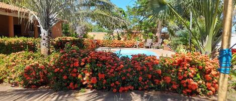 A pool surrounded by vibrant red flowers, with a wooden deck and lounge chairs in the background.
