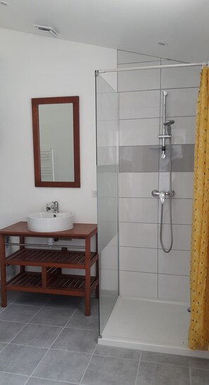 Shower, towels, toilet paper
