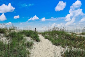 A sandy path leading through a grassy area with a clear blue sky and clouds. - 391 S Fletcher Ave D 1 Bedroom Condo by RedAwning (Fernandina Beach)
