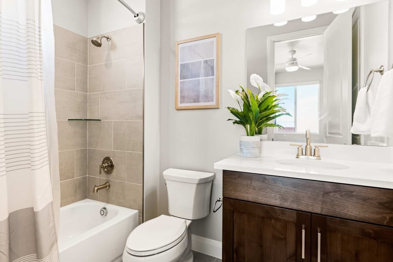 Une salle de bain moderne avec une baignoire, des toilettes et une douche. On y trouve un lavabo avec un miroir au-dessus, et une plante posée sur le comptoir.
