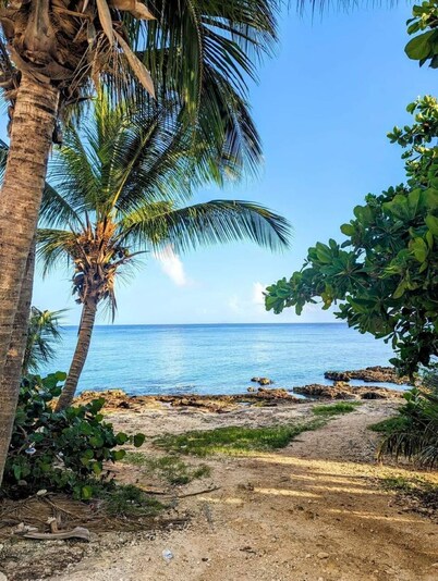 Newly Listed ! Just remodeled Casa in Cozumel with private pool ! reduced prices