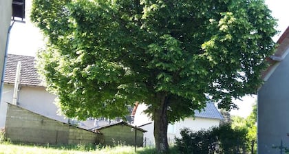Family House