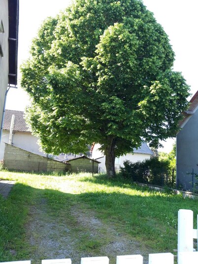 Family House