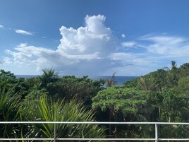 Un paisaje verde exuberante con follaje denso y un cielo azul despejado.