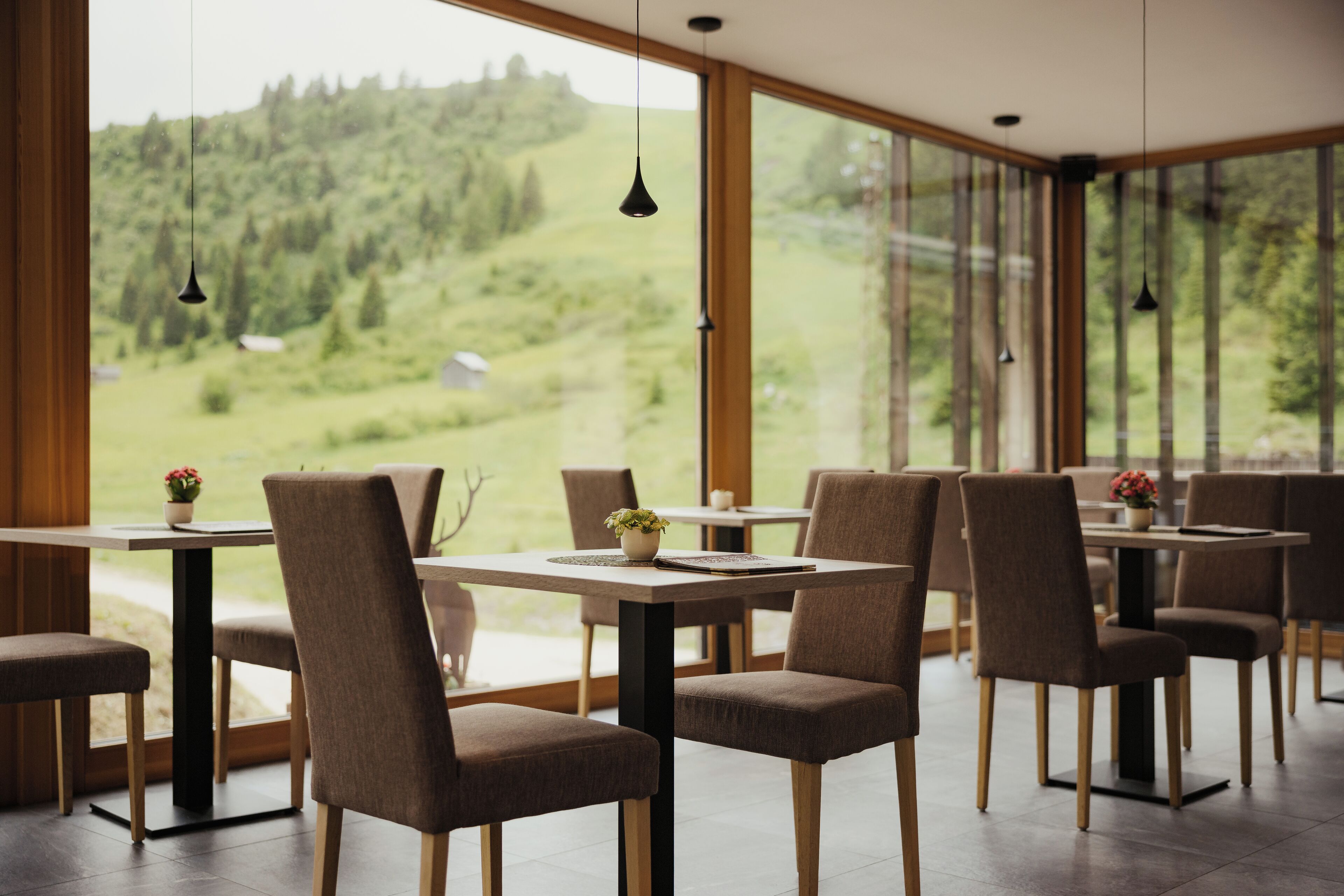 Bar (in der Unterkunft)