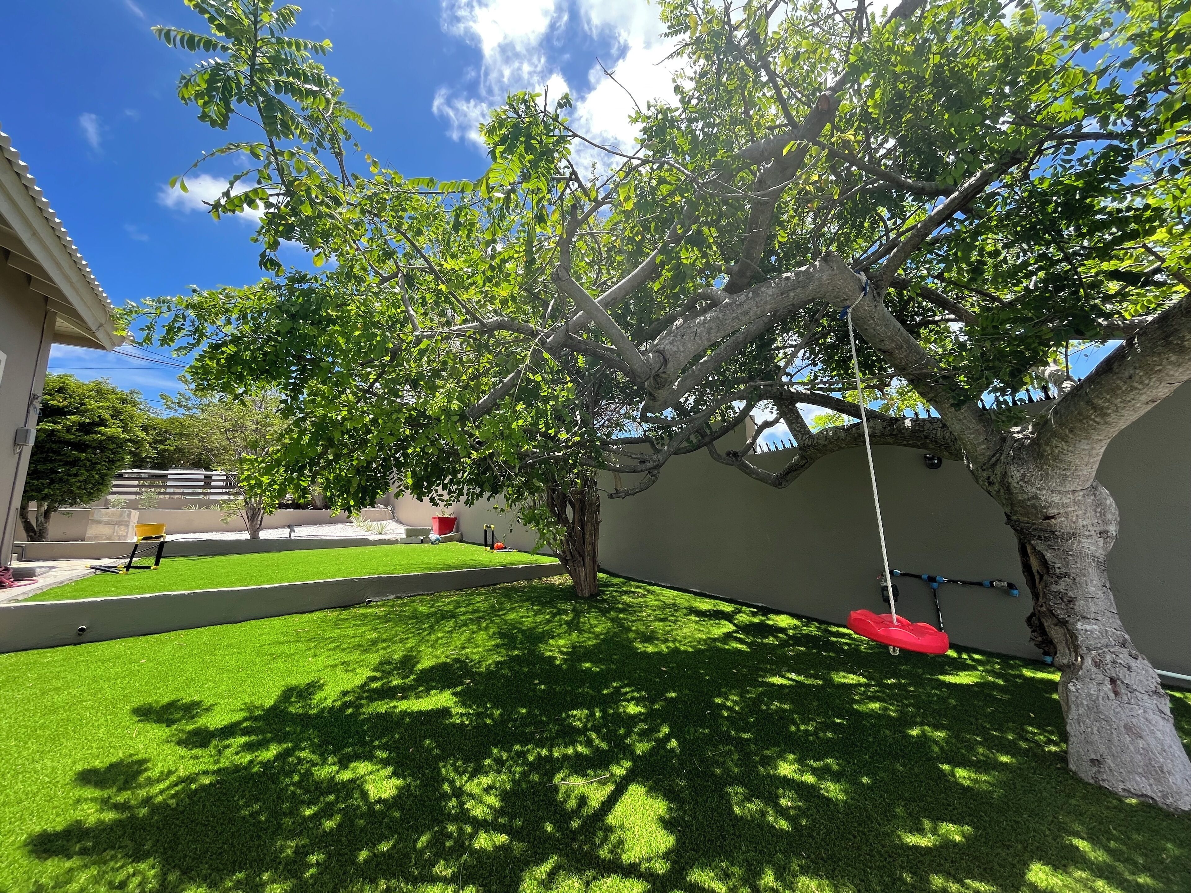 A well-maintained garden with a lawn, a tree, and a swing.