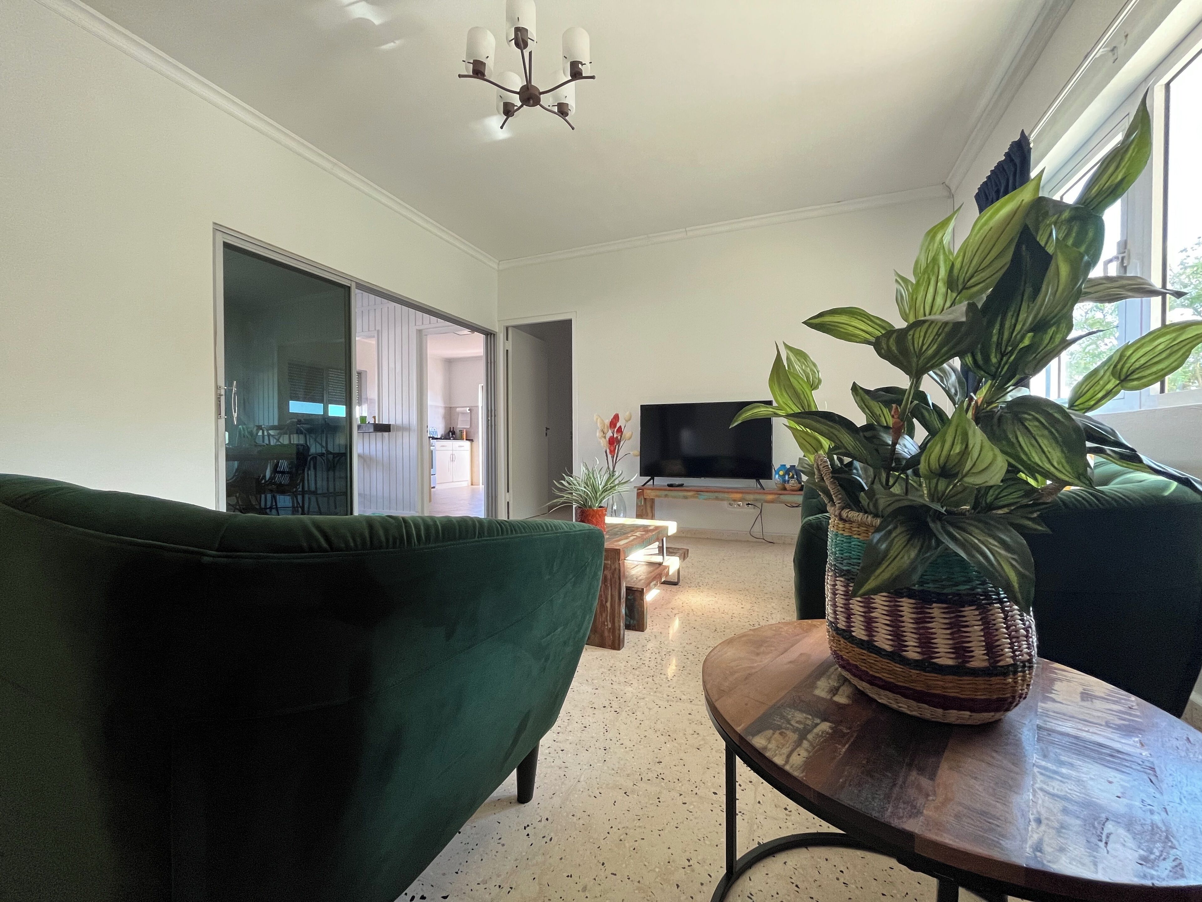 Una sala de estar con un sofá verde, un televisor sobre un mueble bajo, una planta sobre una mesa y un ventanal corredizo que da a una cocina.