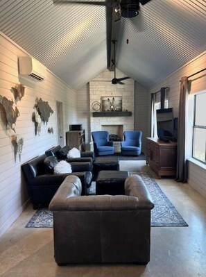 Smart TV, fireplace, books