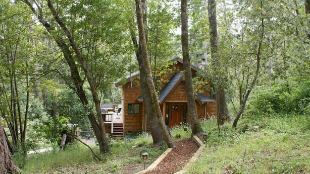 A cabin surrounded by trees, with a deck and a pathway leading to the entrance. - Forest Getaway Cozy, Inviting Cabin w Deck (Inverness)