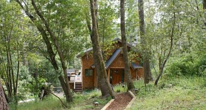 Forest Getaway Cozy, Inviting Cabin w Deck