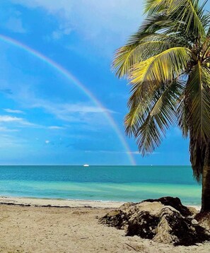 Beach nearby - Oasis in The Keys-Kayaks-Paddle Boards-Cabana Club (Marathon)