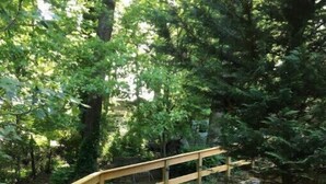 A wooden bridge with a stone pathway leading to a bench in a wooded area.