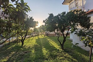 Property grounds - Freeman Greenlees Classical Greek (Rhodes)