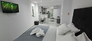 Deluxe Apartment | 1 bilik tidur, langsir/tirai gelap terus, kalis bunyi 