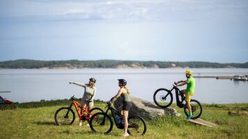 Three people on a grassy area by a lake with bicycles.