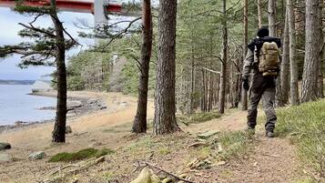 A forested area with a person walking on a dirt path.