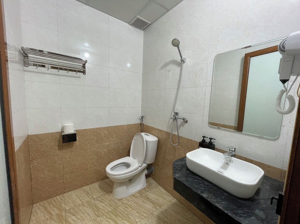 Een badkamer met toilet, wastafel, douche en handdoekhouder.
