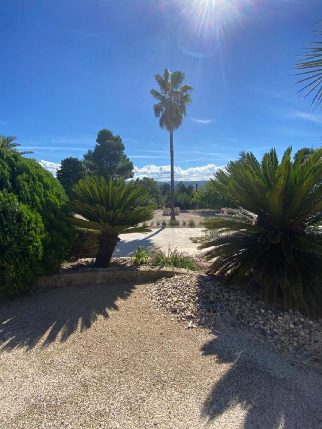 Jardines del alojamiento