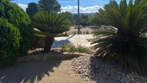 A gravel pathway leading to a palm tree and a building in a landscaped garden. - B&B Casa Mil Sueños (Ontinyent)