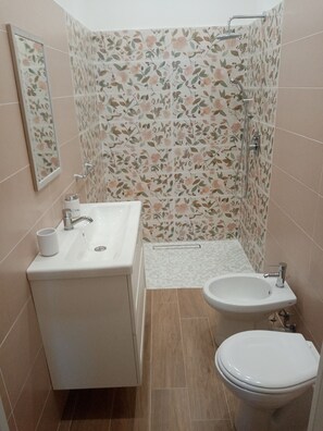 Shower, hair dryer, bidet, towels