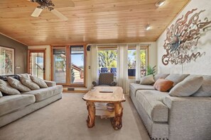 Televisor intel·ligent, llar de foc, reproductor de DVD i llibres 