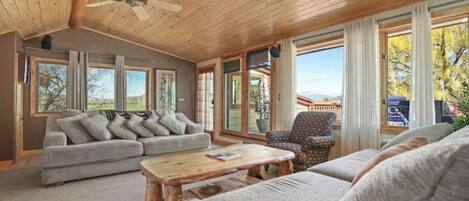 Smart TV, fireplace, DVD player, books