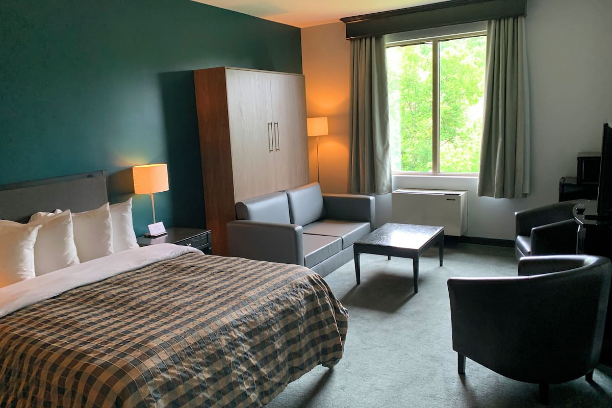 A hotel room with a bed, a sofa, a small table, a chair, a desk, and a window with curtains.