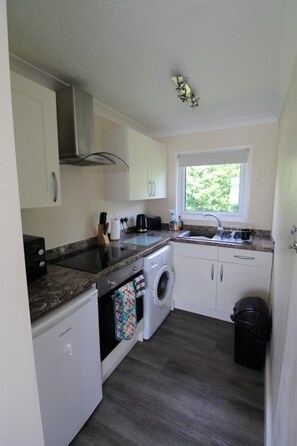 Fridge, oven, stovetop, electric kettle