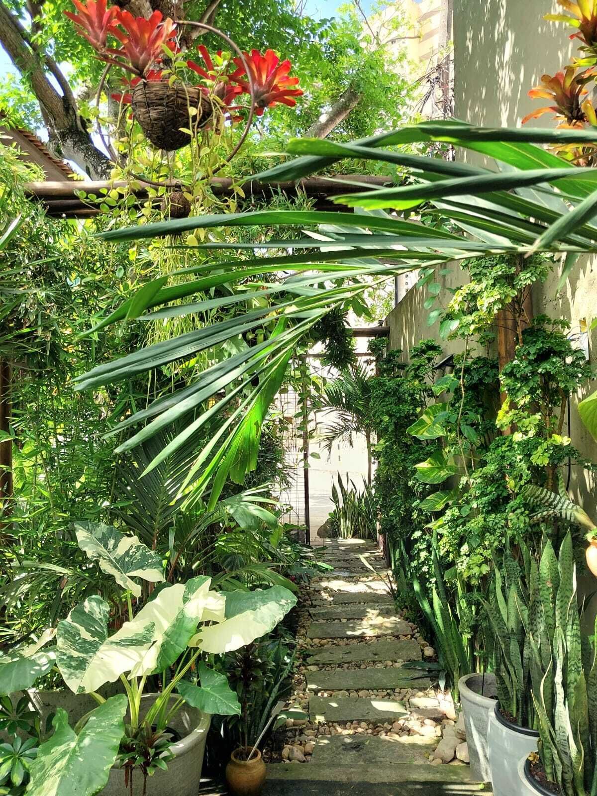 Área da propriedade