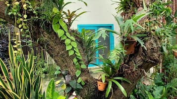 Detalhe da fachada