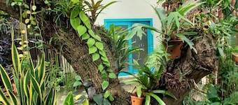 Apartamento Completo Standard Para até 3 Pessoas, Praia de Ponta Negra, Natal