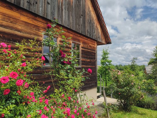 Luxury holiday house Kolpa. All the comfort you need, including private wellness