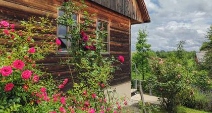 Luxury holiday house Kolpa. All the comfort you need, including private wellness
