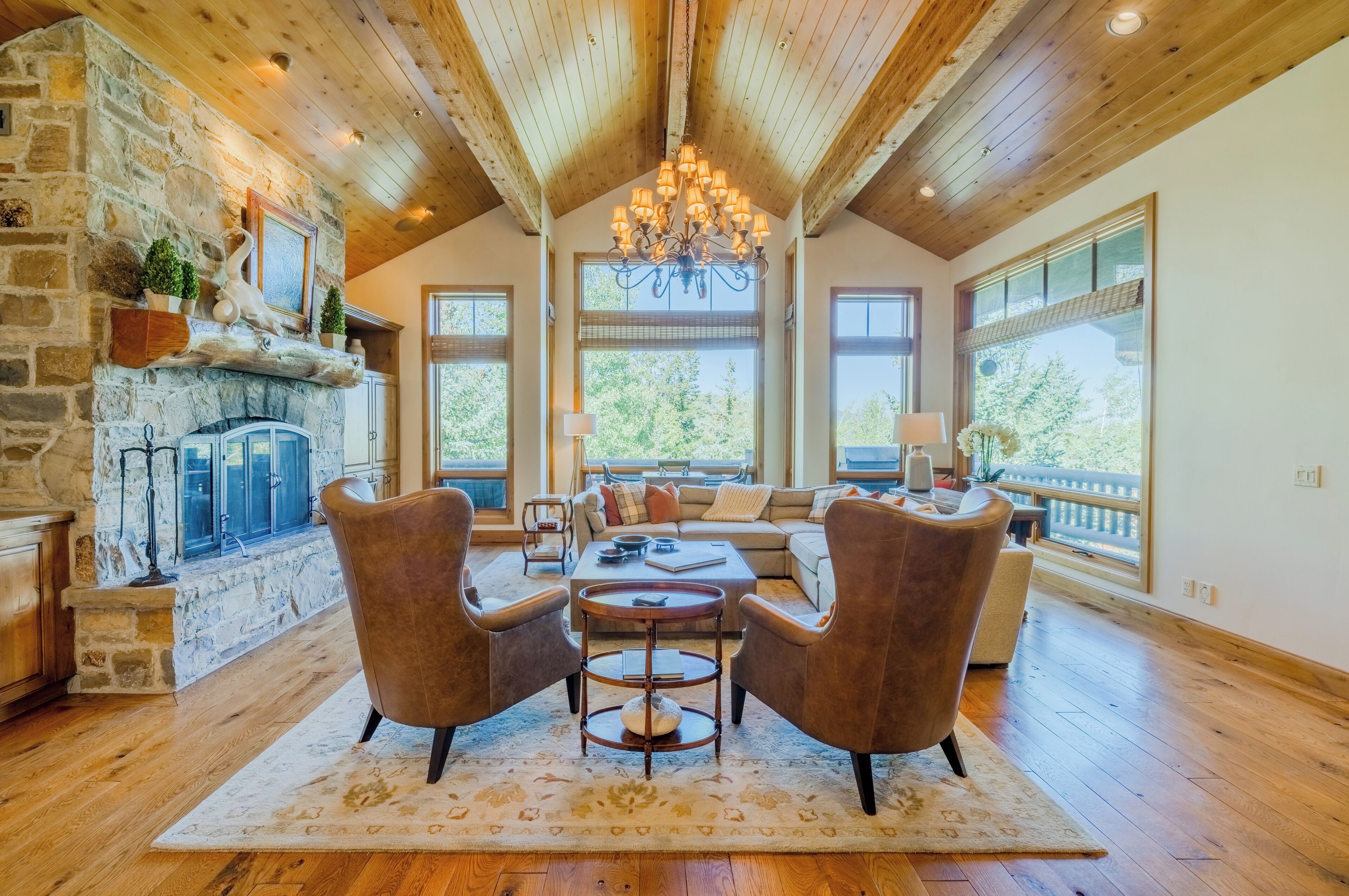 Televisión, chimenea, libros y estéreo 