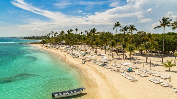 Una playa con aguas turquesas cristalinas, filas de tumbonas y palmeras.