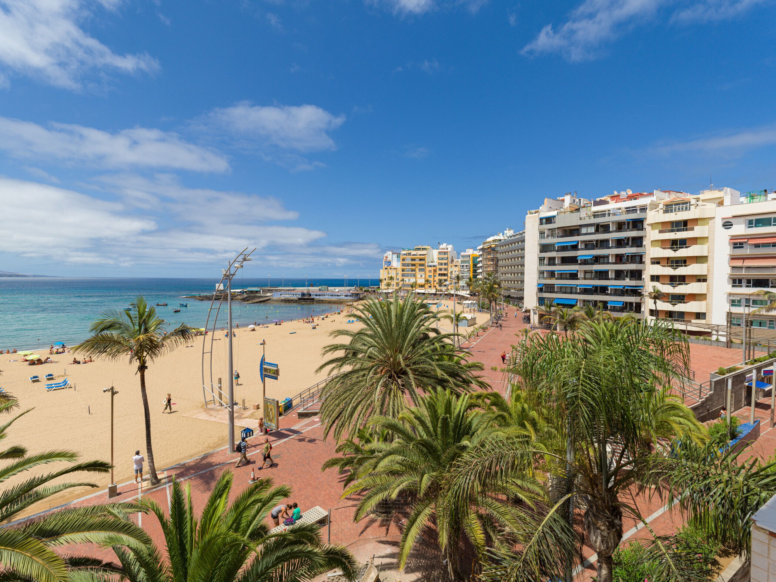 A beach with palm trees, a pier, and a cityscape with buildings in the background.