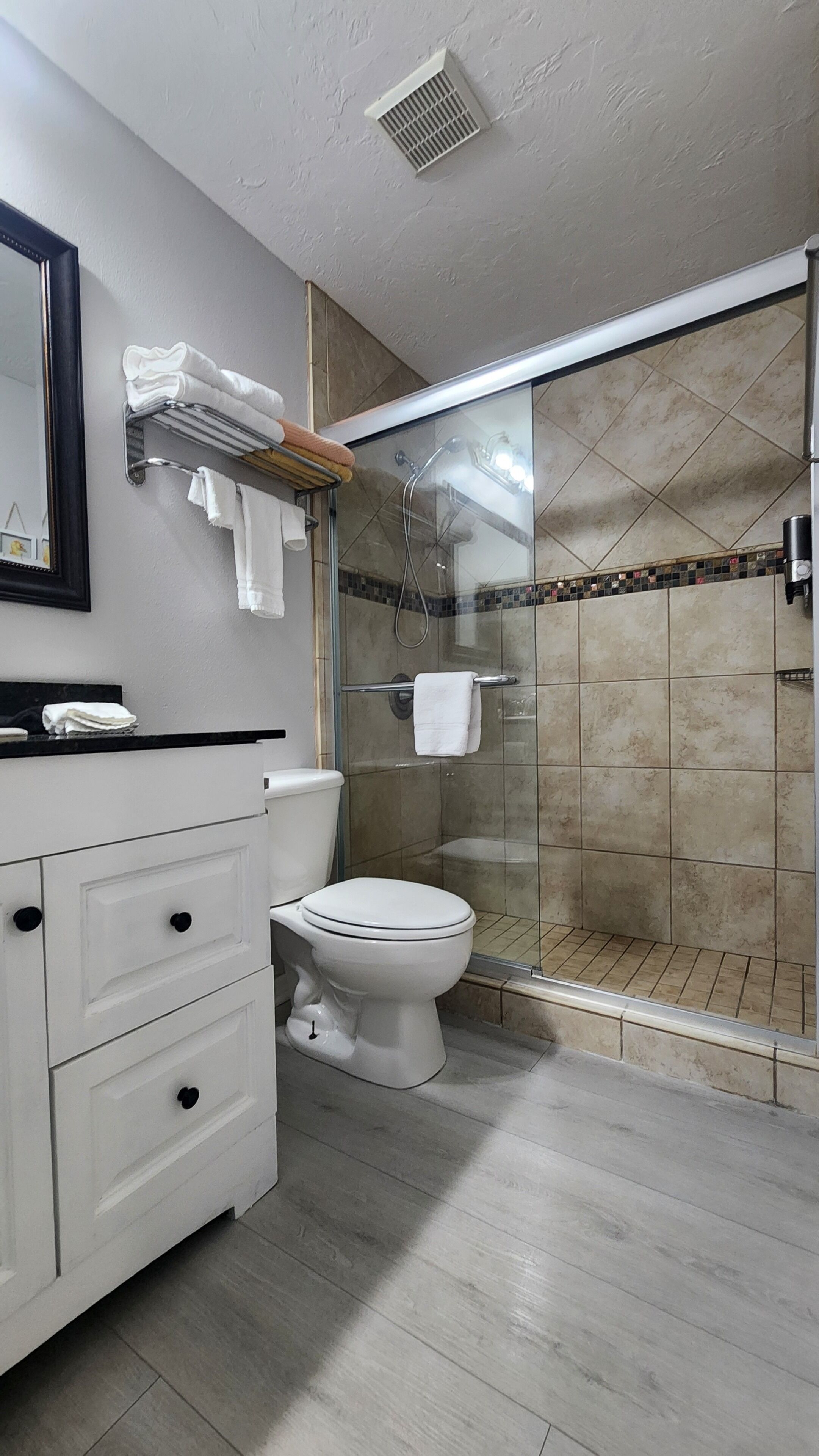 A bathroom with a toilet, a sink with a mirror, a towel rack, and a shower area with a glass door.